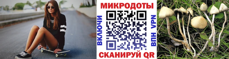 MEGA как войти  Советский  Псилоцибиновые грибы Magic Shrooms  цена наркотик 